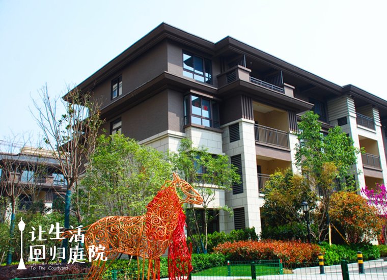 前后张望南阳50年：这样的天井，很难再有了！