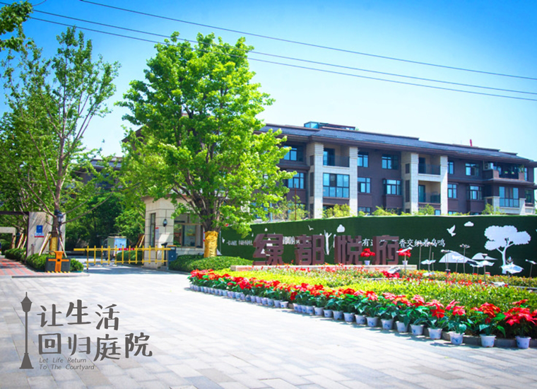 前后张望南阳50年：这样的天井，很难再有了！