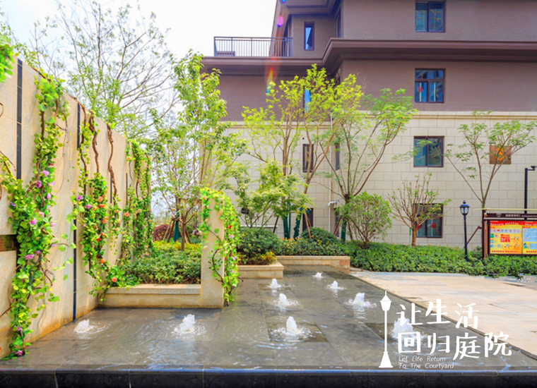 前后张望南阳50年：这样的天井，很难再有了！